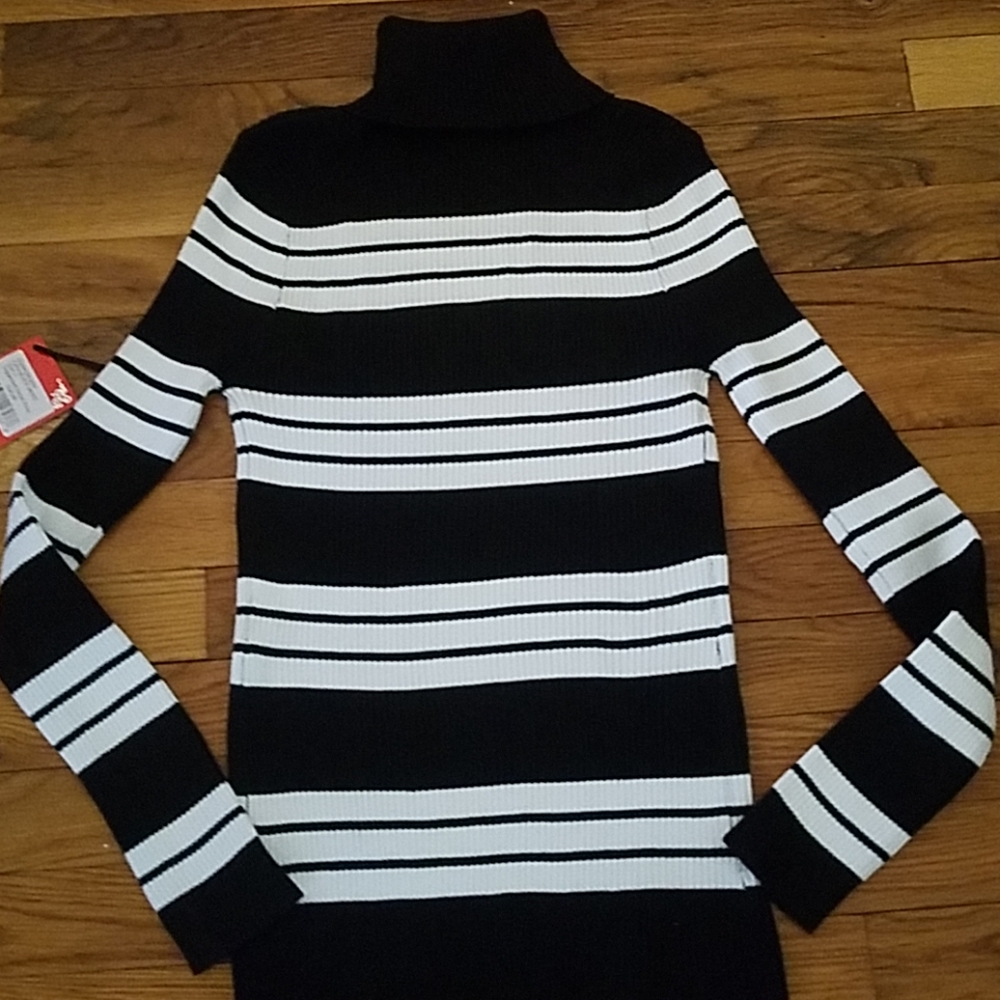 Turtleneck Sweater